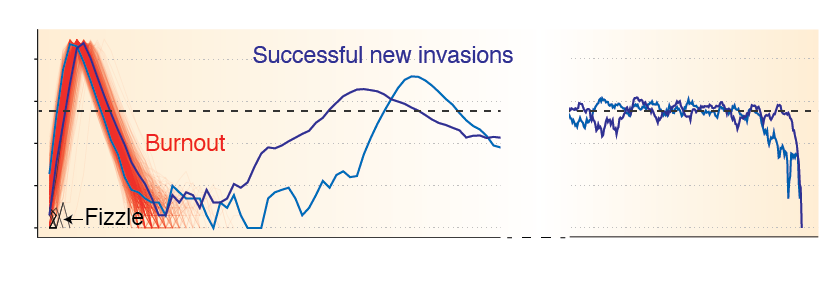 Eco-evo dynamics figure
